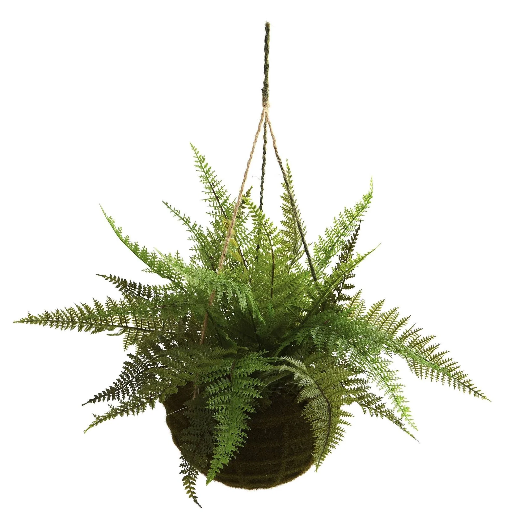 13" Leather Fern Hanging Basket w/ Moss - Set of 2 + (Indoor/Outdoor) (6743-S2) - Image 2