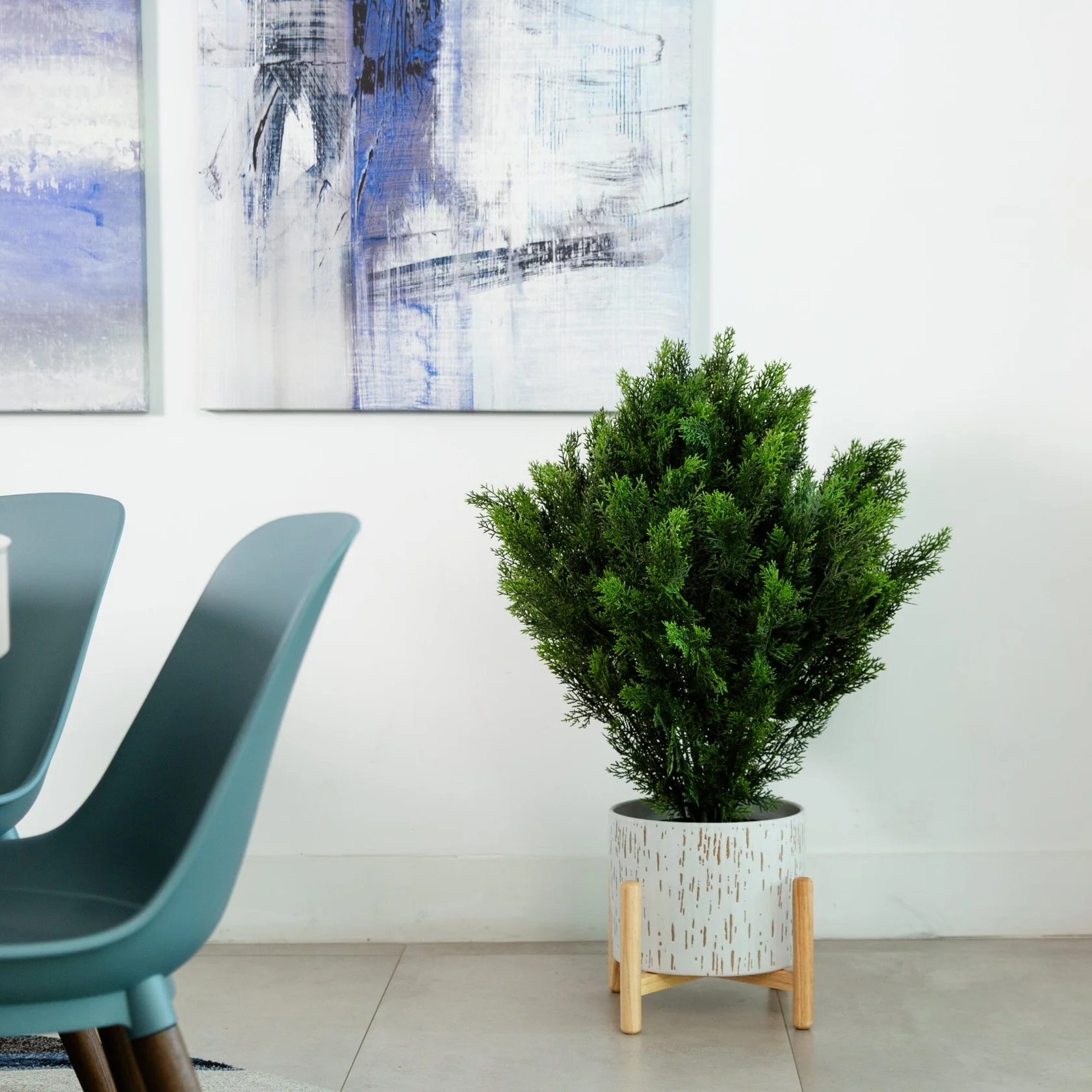 3’ Cedar Bush (Indoor/Outdoor) (6881) - Image 5