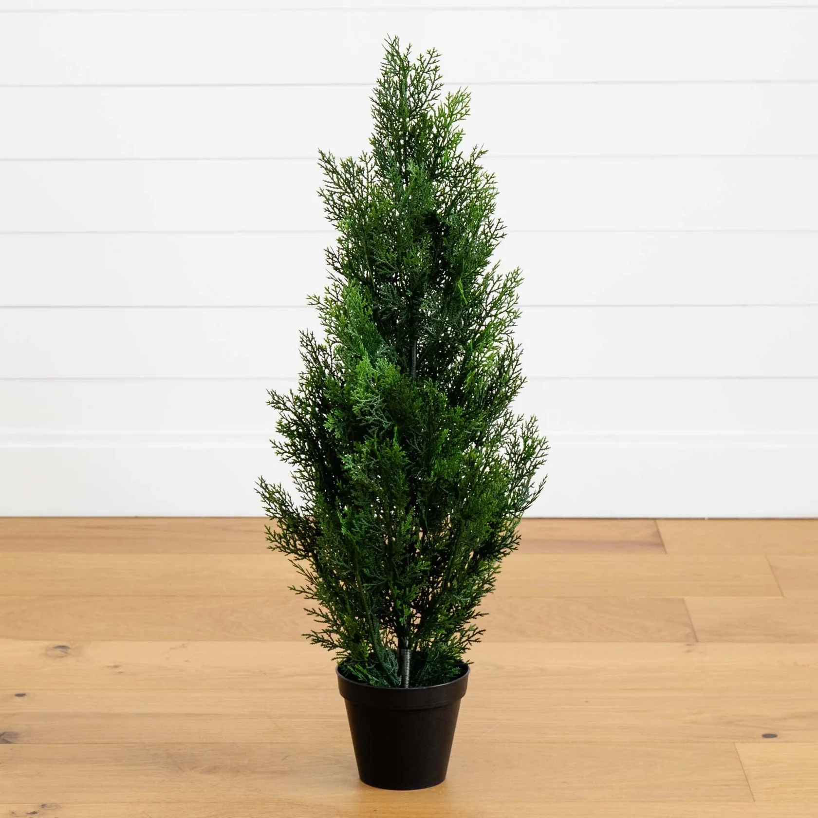 3’ Mini Cedar Pine Tree (Indoor/Outdoor) (5470)