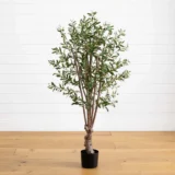 5' Olive Silk Tree (5258)