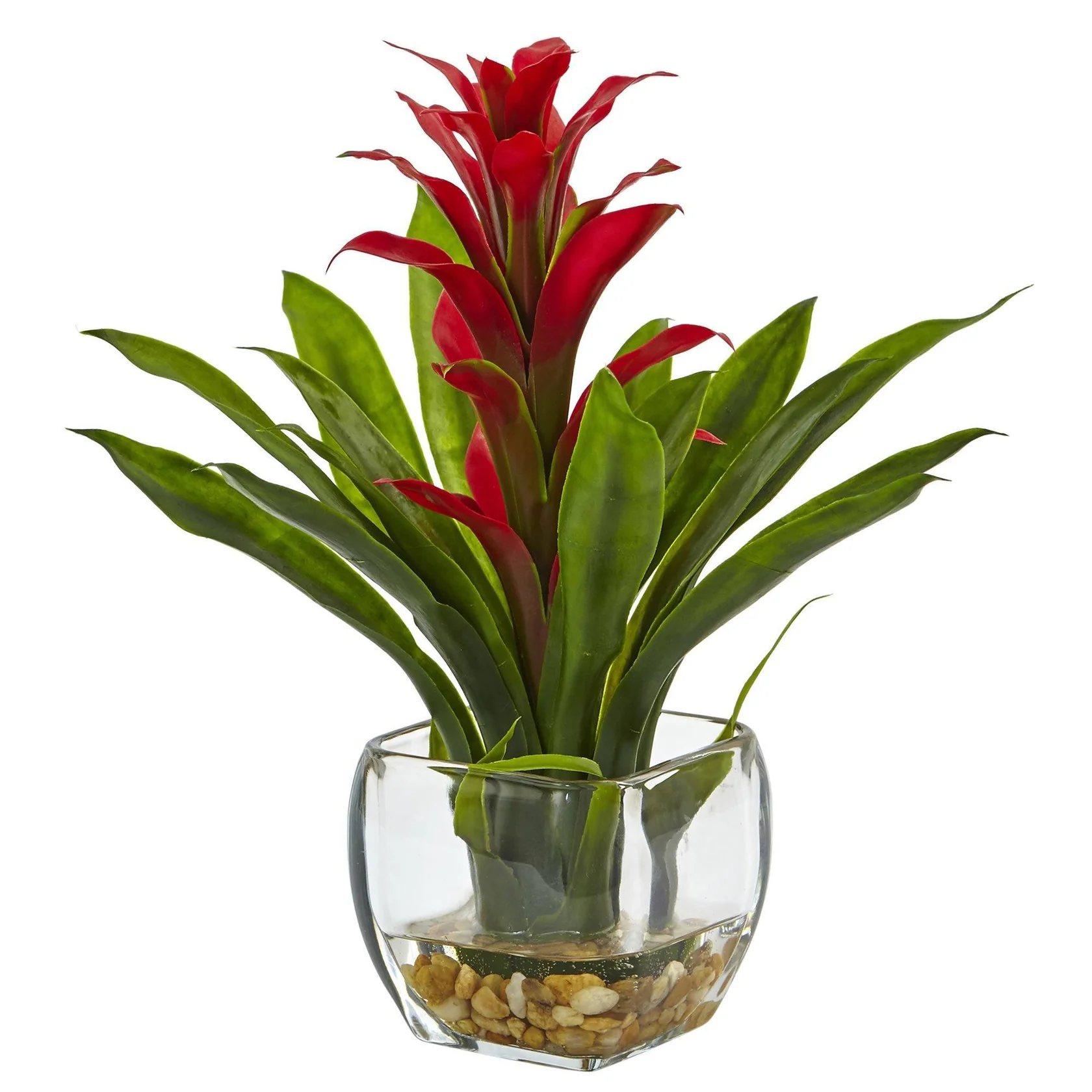 Bromeliad with Vase Arrangement (6897-RD)