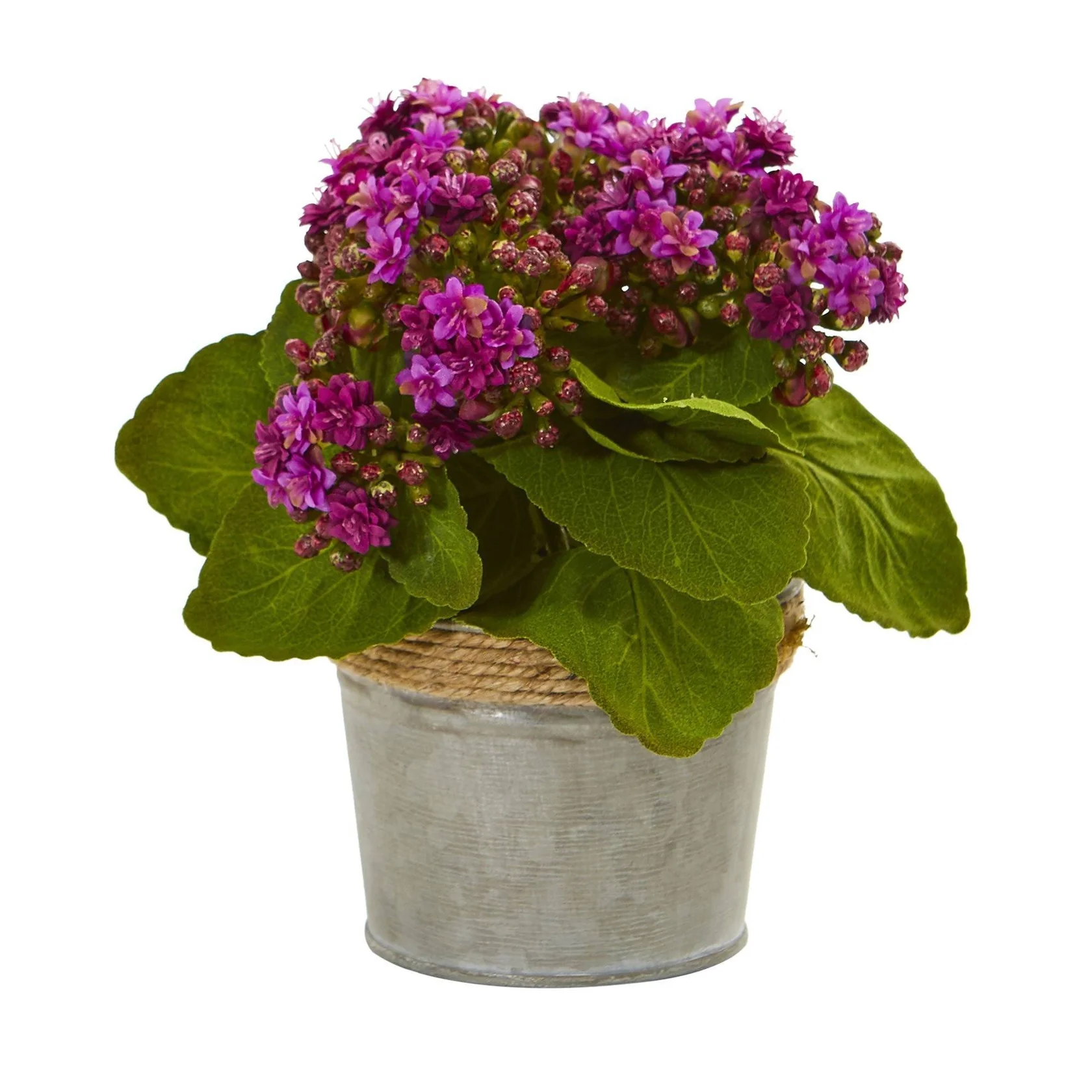 Kalanchoe Artificial Arrangements (Set of 3) (4244-S3) - Image 3