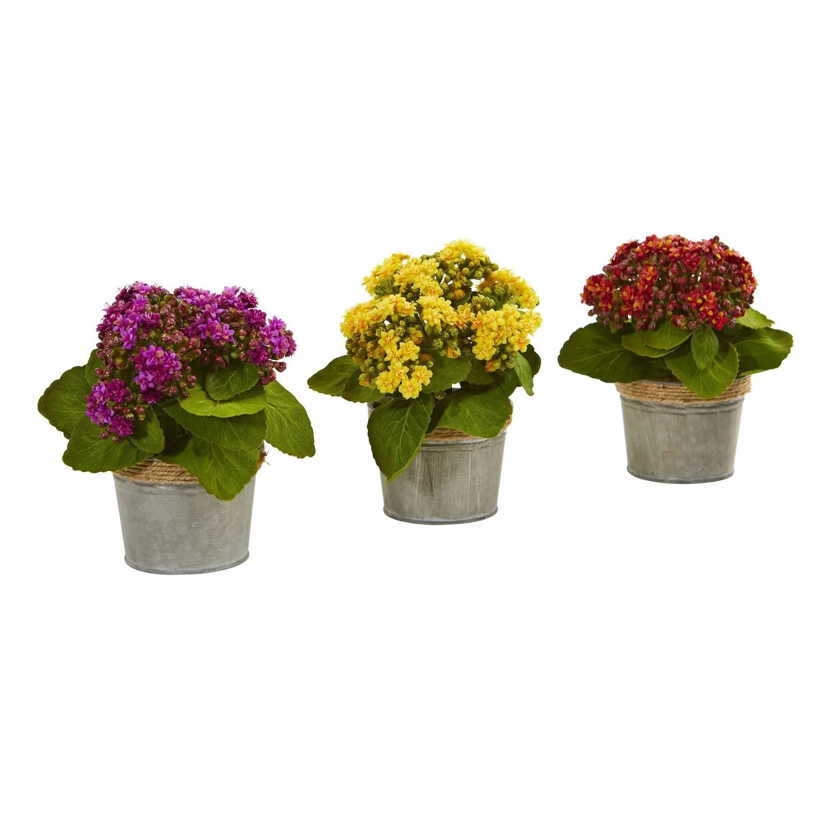 Kalanchoe Artificial Arrangements (Set of 3) (4244-S3)