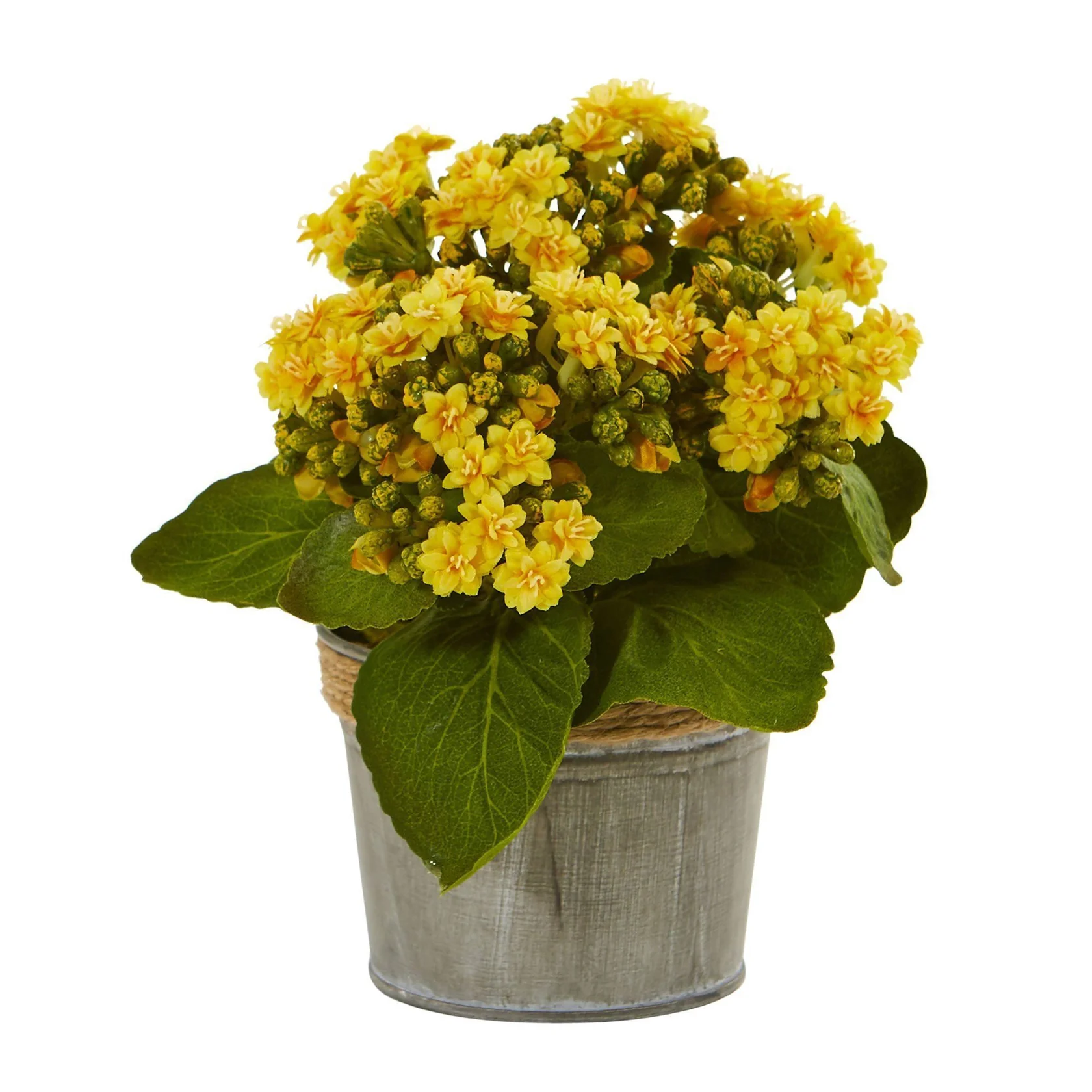 Kalanchoe Artificial Arrangements (Set of 3) (4244-S3) - Image 2