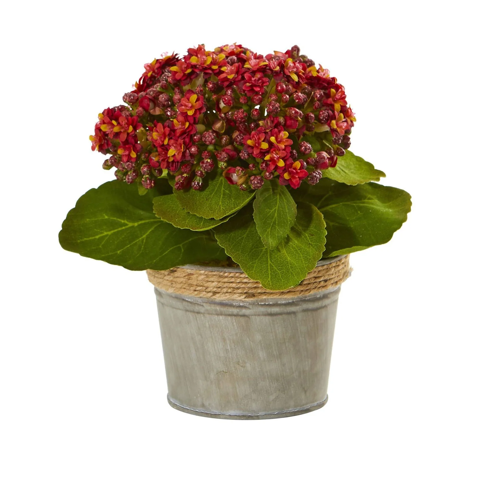 Kalanchoe Artificial Arrangements (Set of 3) (4244-S3) - Image 4