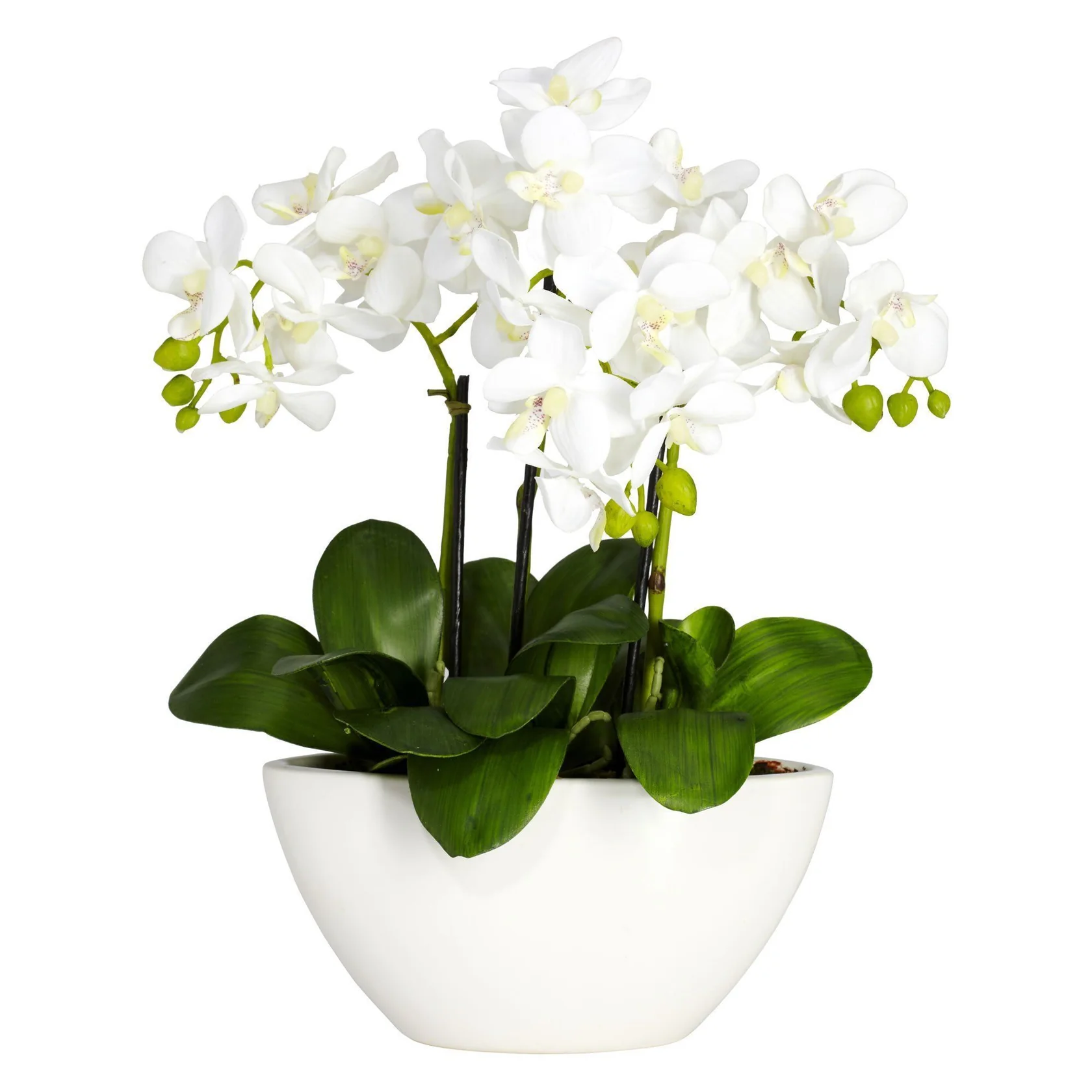 Artificial Phalaenopsis Arrangement (4804)