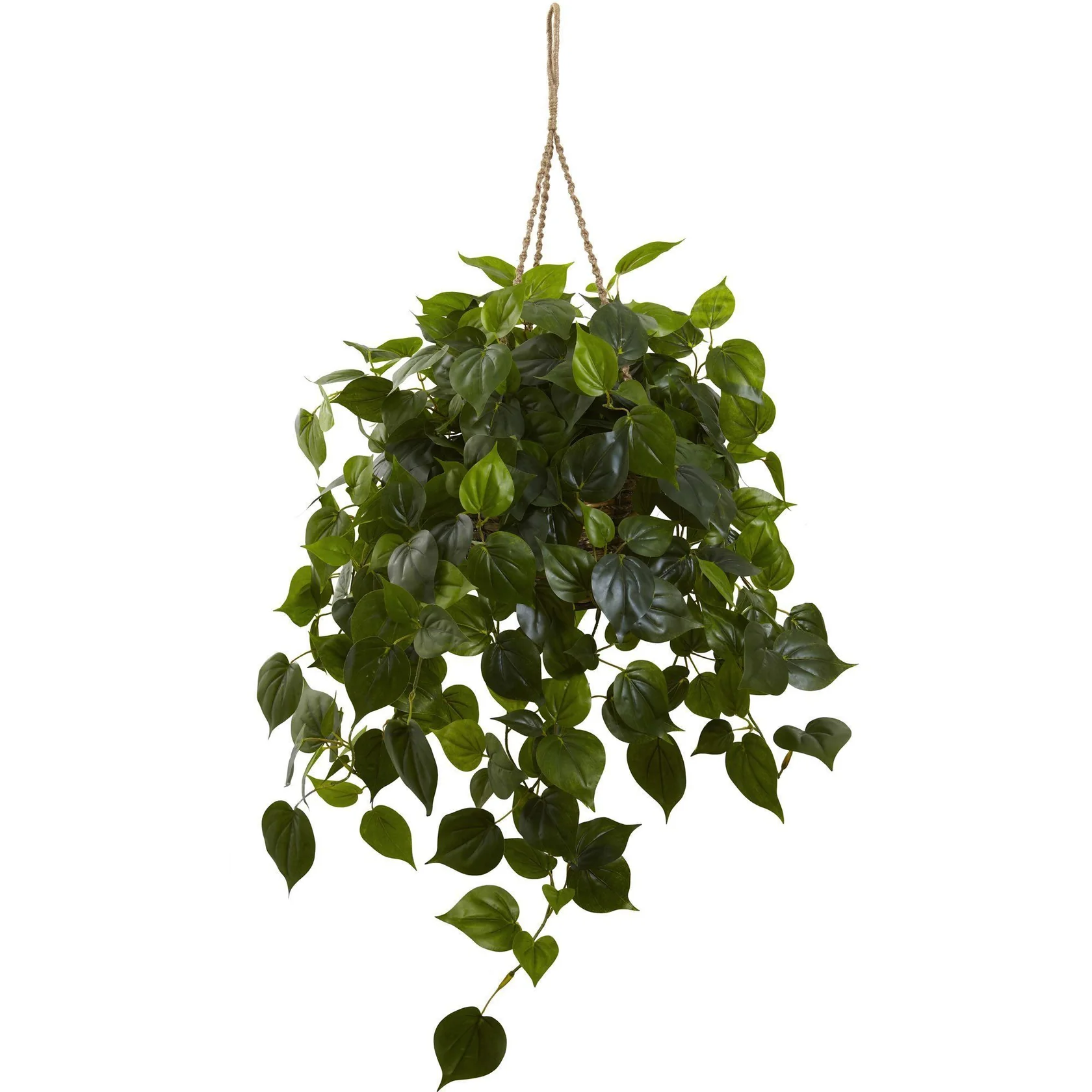 Philodendron Hanging Basket UV Resistant (Indoor/Outdoor) (6853)