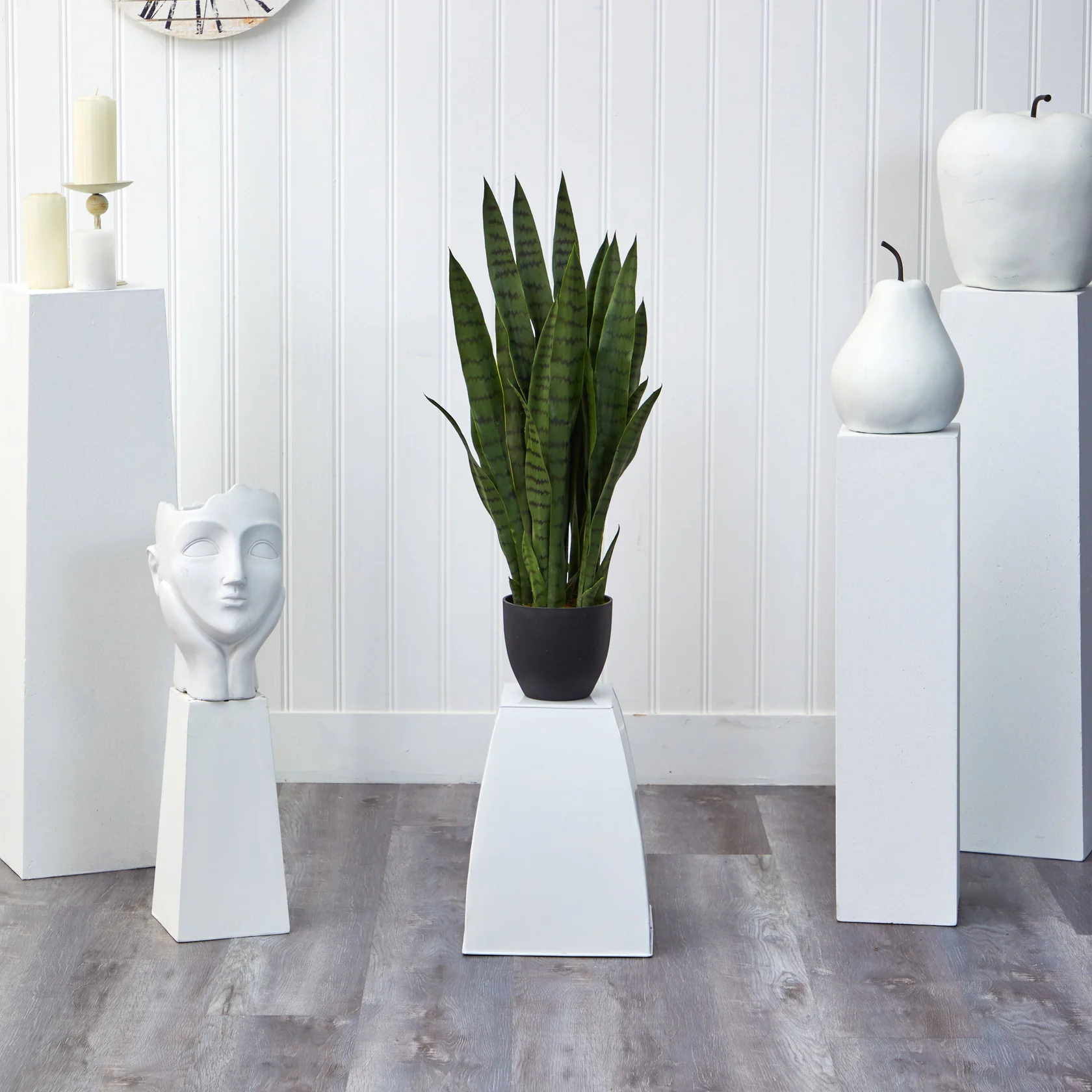 Sansevieria w/Black Planter (4855) - Image 3